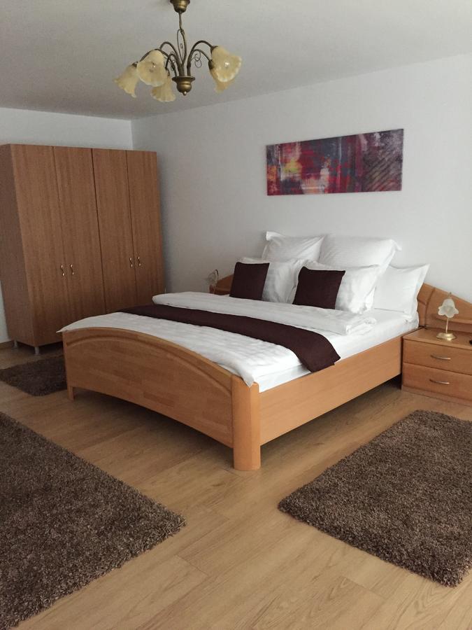 Xenopol Grand Studio Apartment Sibiu Bagian luar foto